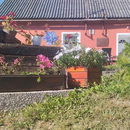 Ubytovani U Machalu Villa Leskovec Nad Moravici Exterior foto